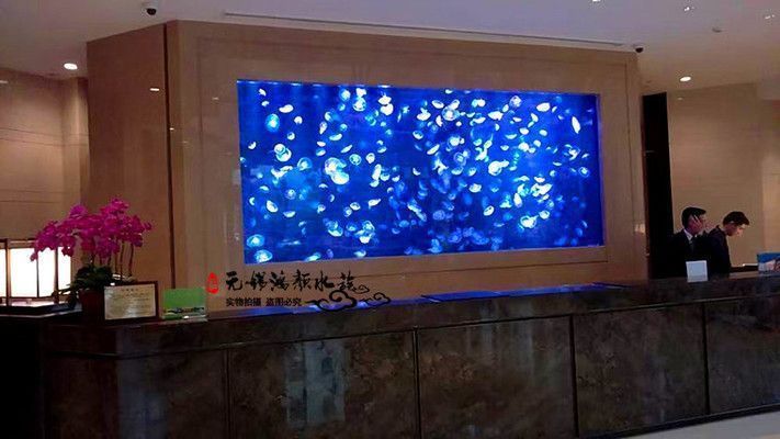 嘉興龍魚vs嘉興水族批發市場vs嘉興水族館vs嘉興魚缸批發市場vs祥龍魚場：嘉興水族批發市場、嘉興魚缸批發市場、祥龍魚場魚類品種介紹 嘉興龍魚vs嘉興水族批發市場vs嘉興水族館vs嘉興魚缸批發市場vs祥龍魚場：嘉興水族批發市場、嘉興魚缸批發市場、祥龍魚場魚類品種介紹 祥龍魚場各市分站 第3張