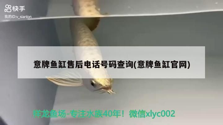 意牌魚缸售后電話號碼查詢(意牌魚缸官網)