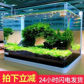 森森魚缸60公分寬有哪幾種，60公分魚缸造景搭配技巧