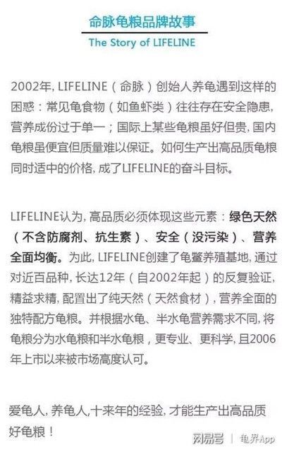 豬鼻龜?shù)牡岸嚅L時(shí)間孵化：豬鼻龜怎么看公母