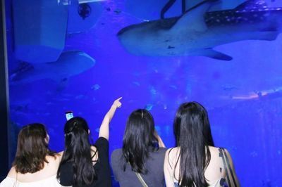 水族館工作人員叫什么（水族館員工的工作內(nèi)容）