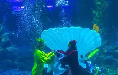魟魚喜歡燈光嗎：養魟魚喜歡燈光嗎？