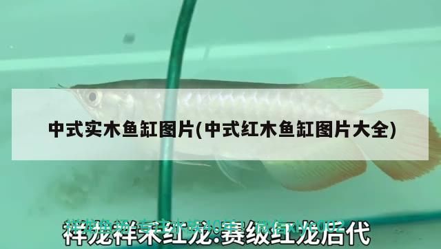 中式實木魚缸圖片(中式紅木魚缸圖片大全)