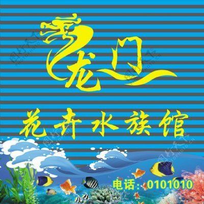 水族館門頭設計圖片（關于水族館門頭設計圖片的網站推薦）