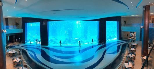 水族館需要投資多少錢呢現在：開個中小型水族館的初始投資在幾十萬元到數百萬元 水族館需要投資多少錢呢現在：開個中小型水族館的初始投資在幾十萬元到數百萬元 水族館百科（水族館加盟） 第4張