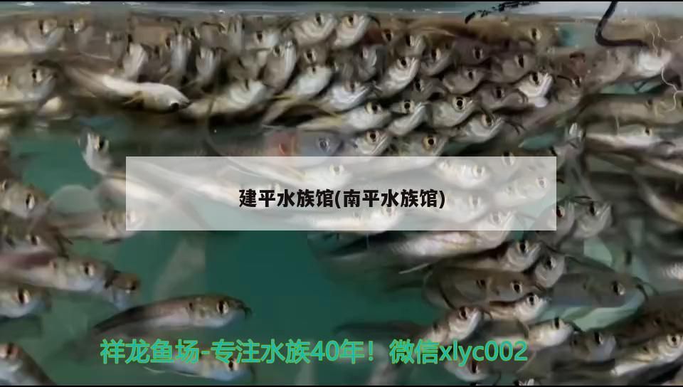 建平水族館(南平水族館)
