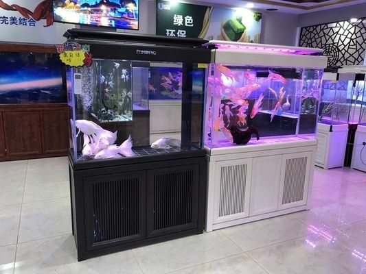 水族館能賺錢嗎知乎：水族館會員制度設(shè)計要點,
