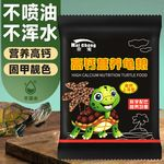 豬鼻龜多少錢一斤正常:30公分的豬鼻龜多少錢一斤 豬鼻龜百科 第12張 豬鼻龜多少錢一斤正常:30公分的豬鼻龜多少錢一斤 豬鼻龜多少錢一斤正常:30公分的豬鼻龜多少錢一斤 豬鼻龜百科 第12張