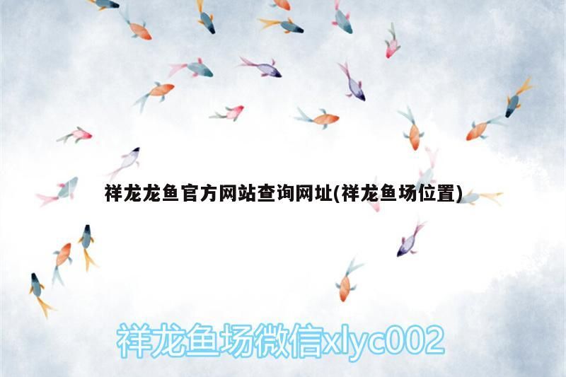 紅龍魚 祥龍龍魚官方網站查詢網址(祥龍魚場位置) vs祥龍魚場 祥龍龍魚官方網站查詢網址(祥龍魚場位置) 祥龍龍魚官方網站查詢網址(祥龍魚場位置) vs祥龍魚場