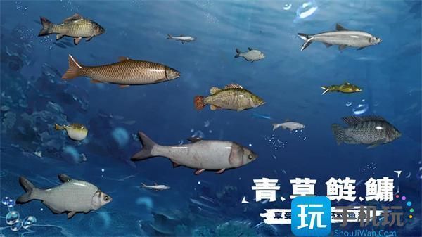 彩蝶魚缸為啥那么貴，彩蝶魚缸價格昂貴原因分析彩蝶魚缸安全性設計詳解