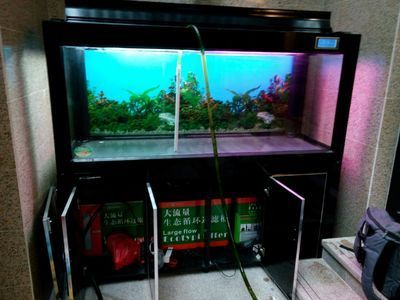 804545的魚缸用什么過濾：80,45的魚缸過濾器選擇合適的過濾器是濾效果重要的