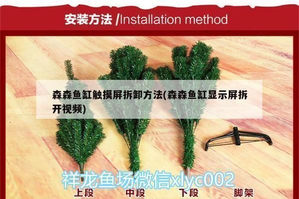 中山龍魚vs中山水族批發市場vs中山水族館vs中山魚缸批發市場vs祥龍魚場：中山龍魚、中山水族、中山魚缸批發市場及祥龍魚場