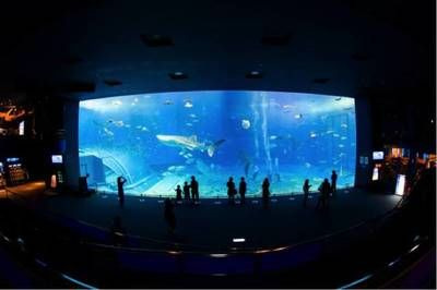 水族館店圖片：水族館店圖片詳情
