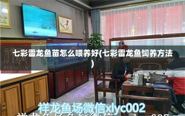 元寶鳳凰魚繁殖期水質監測要點：元寶鳳凰魚的繁殖期對水質的要求非常高，元寶鳳凰魚水質穩定方法 元寶鳳凰魚繁殖期水質監測要點：元寶鳳凰魚的繁殖期對水質的要求非常高，元寶鳳凰魚水質穩定方法 元寶鳳凰魚百科 第6張