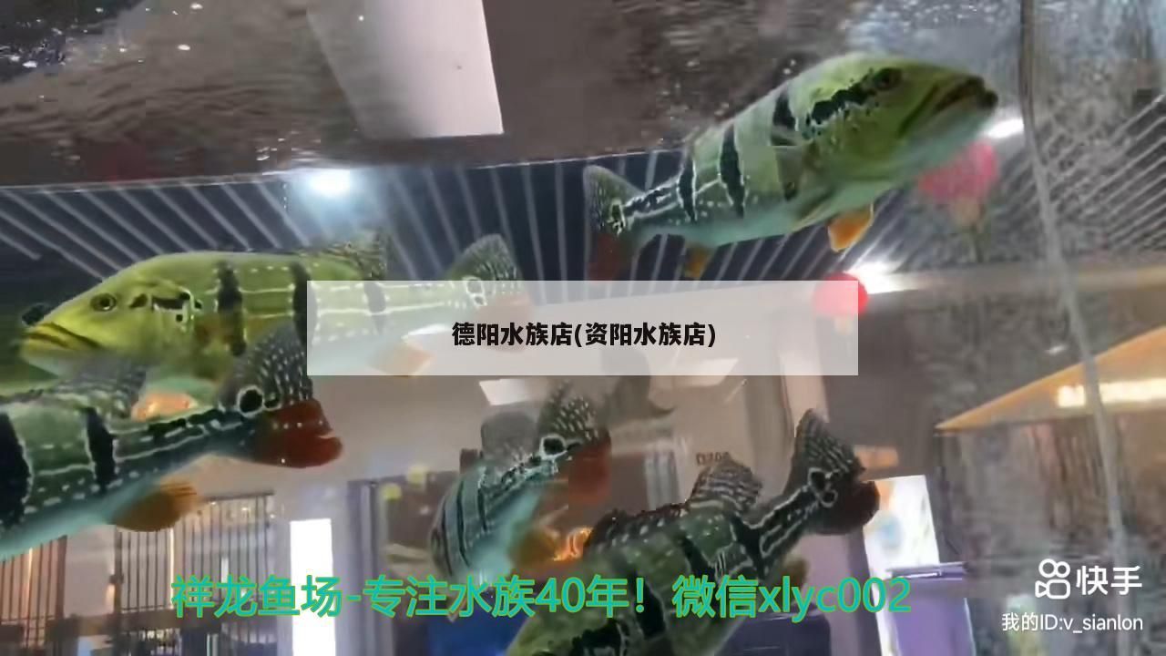 德陽水族店(資陽水族店)