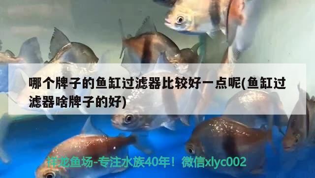 兩天沒洗臉缸擦的比臉都干凈