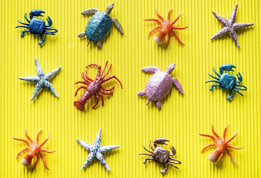 大湖紅龍魚苗子的養殖方法及大湖紅龍魚苗子的養殖方法,大湖紅龍魚苗子介紹 大湖紅龍魚百科 第2張 大湖紅龍魚苗子的養殖方法及大湖紅龍魚苗子的養殖方法,大湖紅龍魚苗子介紹 大湖紅龍魚苗子的養殖方法及大湖紅龍魚苗子的養殖方法,大湖紅龍魚苗子介紹 大湖紅龍魚百科 第2張