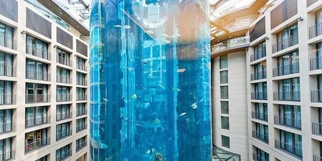 中國水族館排名榜:2018中國水族館排名榜 水族館百科(水族館加盟) 第2張 中國水族館排名榜:2018中國水族館排名榜 中國水族館排名榜:2018中國水族館排名榜 水族館百科(水族館加盟) 第2張
