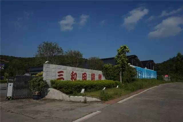 包頭水族館東莞錦鯉協會——走進東莞三和田錦鯉場201511 錦鯉魚百科 第3張 包頭水族館東莞錦鯉協會——走進東莞三和田錦鯉場201511 包頭水族館東莞錦鯉協會——走進東莞三和田錦鯉場201511 錦鯉魚百科 第3張