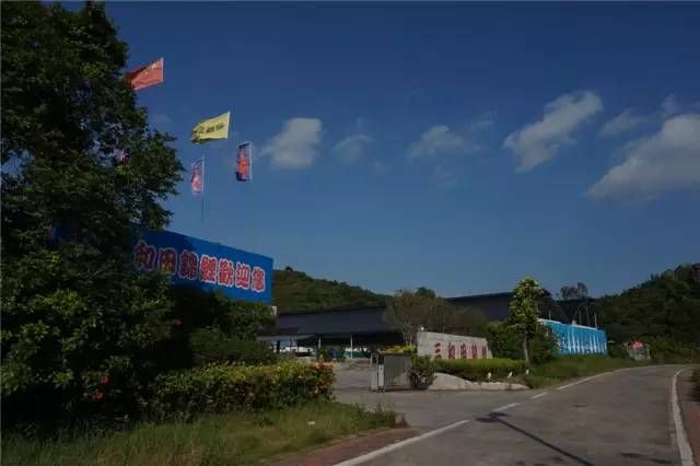 包頭水族館東莞錦鯉協會——走進東莞三和田錦鯉場201511 錦鯉魚百科 第2張 包頭水族館東莞錦鯉協會——走進東莞三和田錦鯉場201511 包頭水族館東莞錦鯉協會——走進東莞三和田錦鯉場201511 錦鯉魚百科 第2張