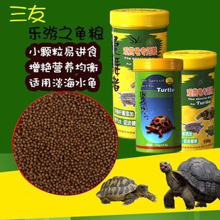 養(yǎng)一只豬鼻龜成本多少：養(yǎng)一只豬鼻龜多少錢