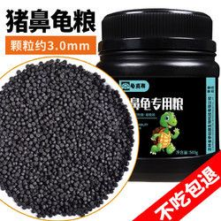 養(yǎng)一只豬鼻龜成本多少：養(yǎng)一只豬鼻龜多少錢