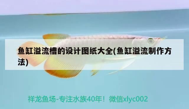 缸壁白色羽毛狀東西是什么
