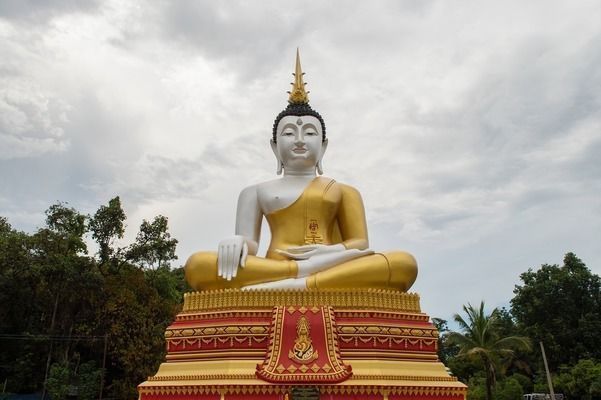 三門峽龍魚vs三門峽水族批發(fā)市場vs三門峽水族館vs三門峽魚缸批發(fā)市場vs祥龍魚場：三門峽地區(qū)的龍魚養(yǎng)殖市場