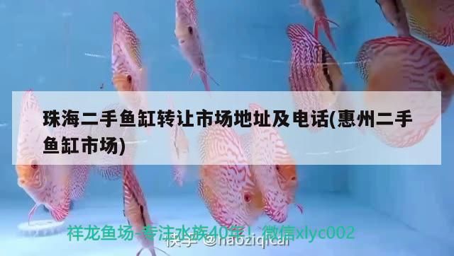 珠海二手魚缸轉讓市場地址及電話(惠州二手魚缸市場)