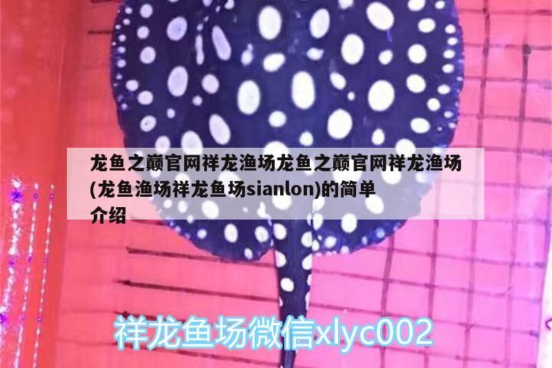 龍魚之巔官網祥龍漁場龍魚之巔官網祥龍漁場(龍魚漁場祥龍魚場sianlon)的簡單介紹