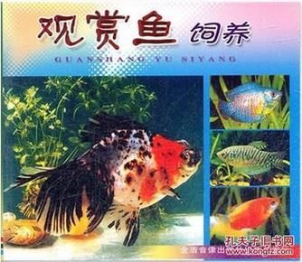 觀賞魚繁殖技術（關于觀賞魚的繁殖技術） 觀賞魚繁殖技術（關于觀賞魚的繁殖技術） 豬鼻龜百科 第1張