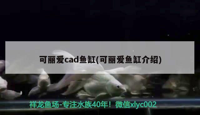 西安生態(tài)魚(yú)缸批發(fā)市場(chǎng)在哪里啊最近(西安哪里有賣(mài)生態(tài)魚(yú)缸的)