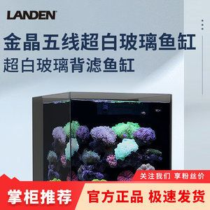 藍曼龍魚繁殖時需要注意什么，繁殖藍曼龍魚的注意事項 藍曼龍魚繁殖時需要注意什么，繁殖藍曼龍魚的注意事項 龍魚百科 第1張