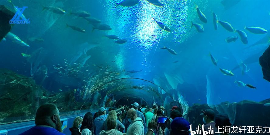 水族館干啥的：水族館是一個(gè)專門(mén)用于展示和飼養(yǎng)水生生物的場(chǎng)所