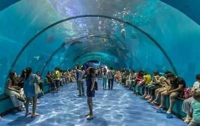 水族館干啥的：水族館是一個專門用于展示和飼養水生生物的場所 水族館干啥的：水族館是一個專門用于展示和飼養水生生物的場所 水族館百科（水族館加盟） 第5張