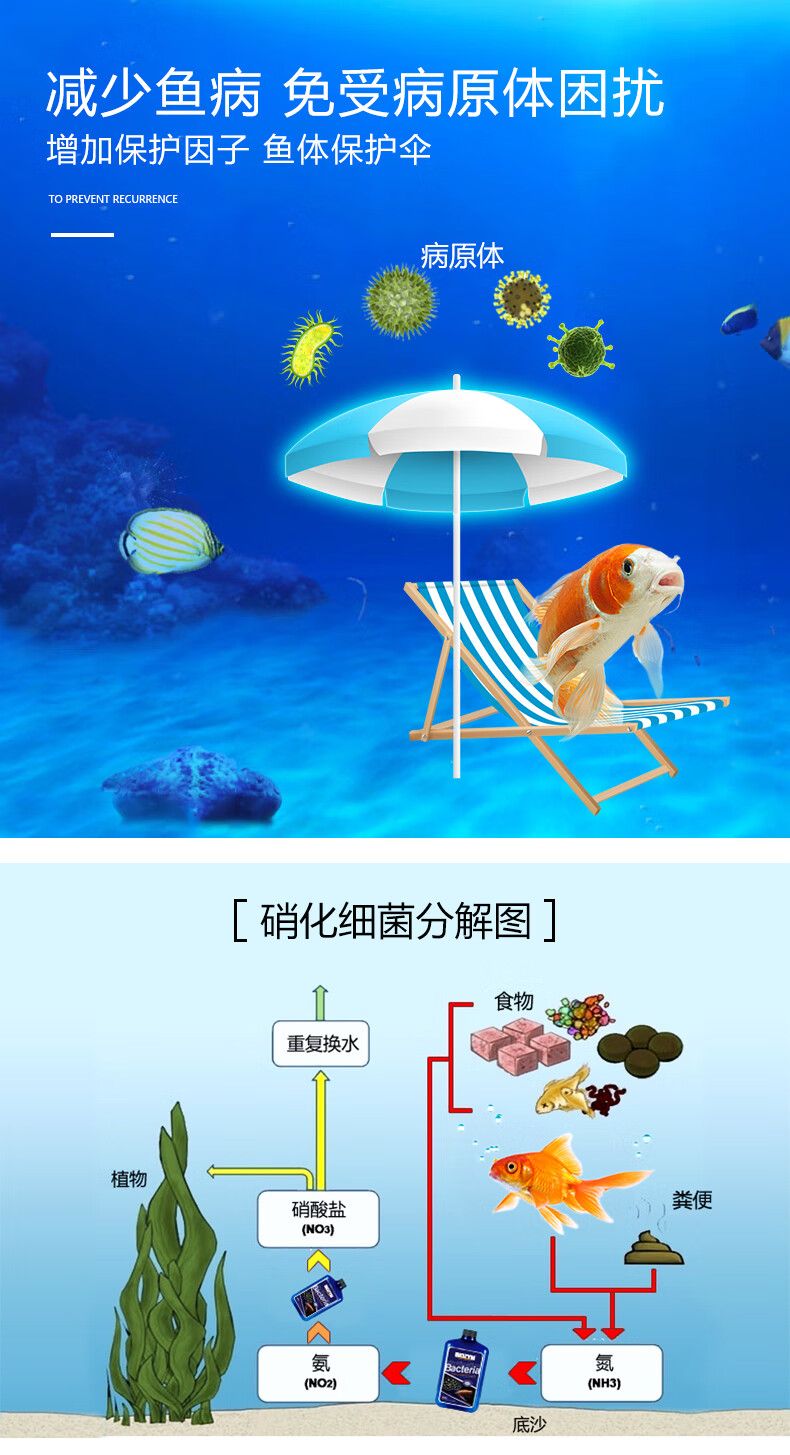 魚缸的硝化細菌怕光嗎(魚缸的硝化細菌怕光嗎視頻)