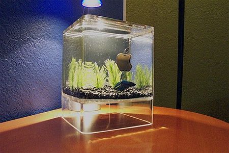 水族館設計圖：關于水族館設計圖的詳細解析