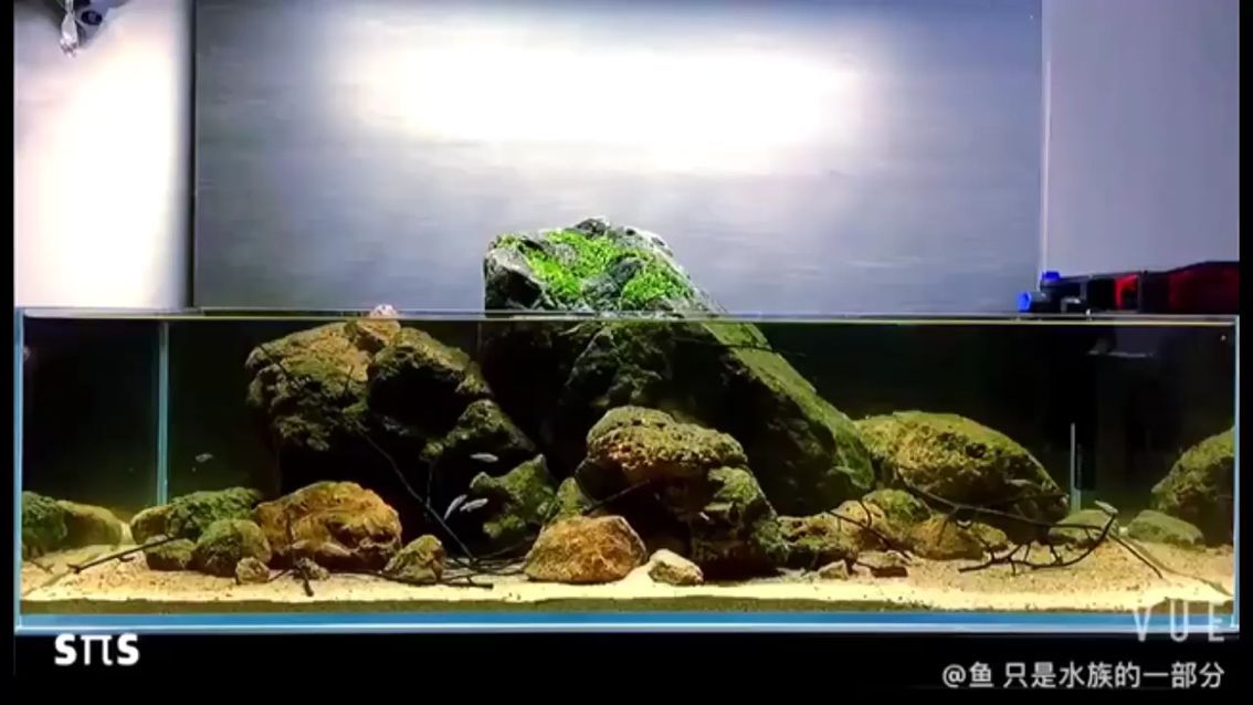 超市水產(chǎn)魚缸規(guī)范：超市魚缸水溫多少度合適