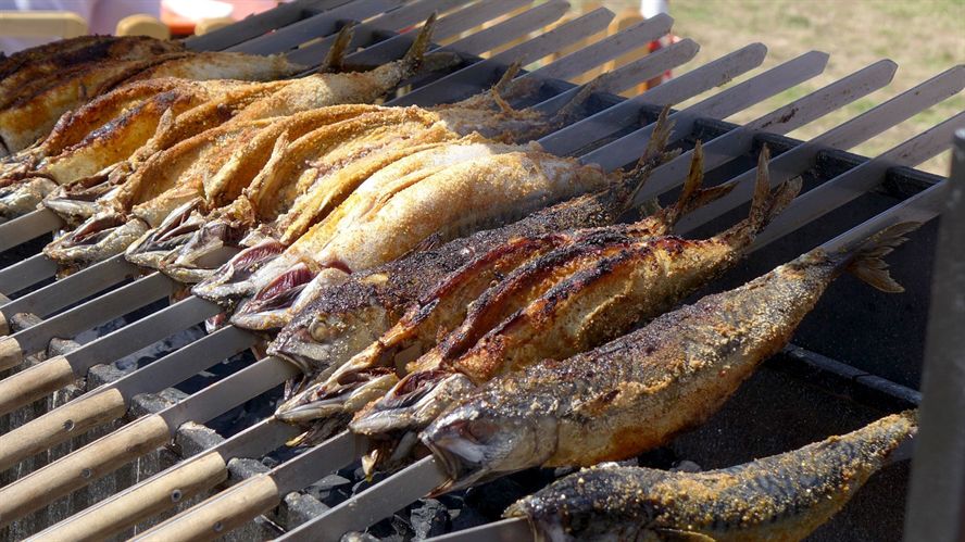 什么魚魚頭有毒不能吃的呢（魚頭有毒嗎是什么毒） 什么魚魚頭有毒不能吃的呢（魚頭有毒嗎是什么毒） 錦鯉魚百科 第4張