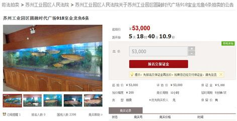 金龍魚司法拍賣影響分析：金龍魚司法拍賣在現代法律框架內價值與影響