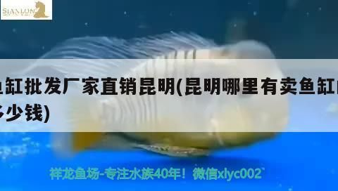 龍魚編碼查詢vs祥龍魚場：石家莊龍魚祥龍魚場電話號碼查詢 龍魚編碼查詢vs祥龍魚場：石家莊龍魚祥龍魚場電話號碼查詢 vs祥龍魚場 第3張