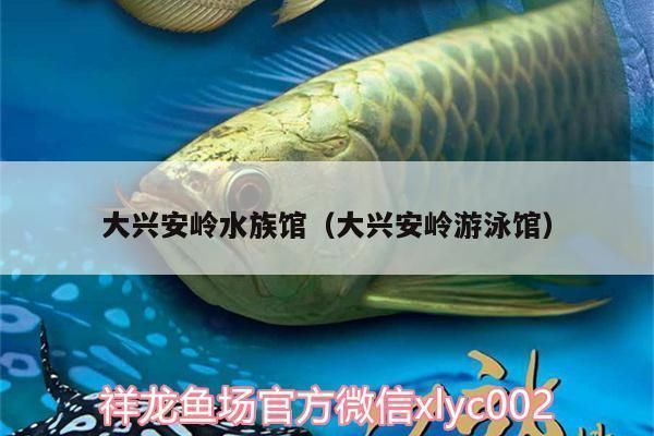 大興安嶺龍魚vs大興安嶺水族批發市場vs大興安嶺水族館vs大興安嶺魚缸批發市場vs祥龍魚場：大興安嶺水族批發市場 大興安嶺龍魚vs大興安嶺水族批發市場vs大興安嶺水族館vs大興安嶺魚缸批發市場vs祥龍魚場：大興安嶺水族批發市場 祥龍魚場各市分站 第4張