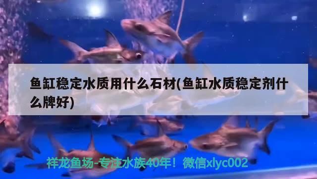 魚缸穩(wěn)定水質(zhì)用什么石材(魚缸水質(zhì)穩(wěn)定劑什么牌好)