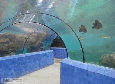 水族館門票價格：2018上海海洋水族館門票價格