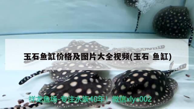 玉石魚缸價格及圖片大全視頻(玉石魚缸)