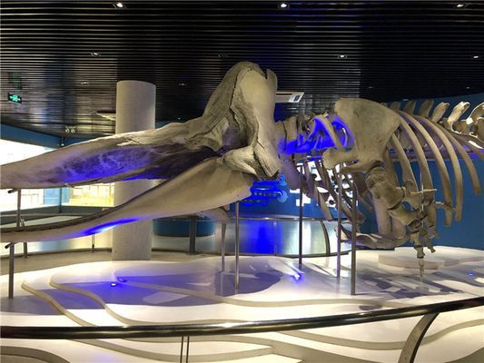 水族館游玩攻略：上海水族館親子互動項目介紹