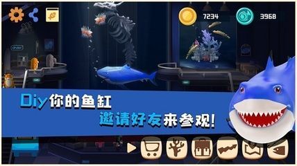 開個水族館免廣告（開個水族館免廣告詳情）