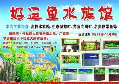 阿勒泰龍魚vs阿勒泰水族批發市場vs阿勒泰水族館vs阿勒泰魚缸批發市場vs祥龍魚場：阿勒泰水族批發市場 阿勒泰龍魚vs阿勒泰水族批發市場vs阿勒泰水族館vs阿勒泰魚缸批發市場vs祥龍魚場：阿勒泰水族批發市場 祥龍魚場各市分站 第5張
