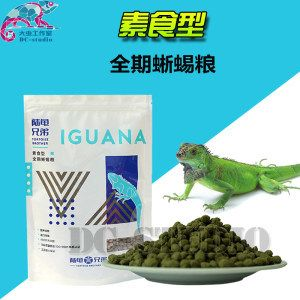 過背金龍魚發色最佳飼料：如何選擇優質魚飼料，過背金龍魚飼料添加劑效果