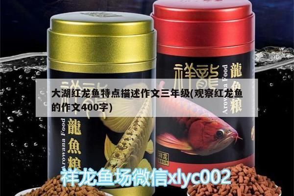 紅龍魚的介紹詞語有哪些三年級
